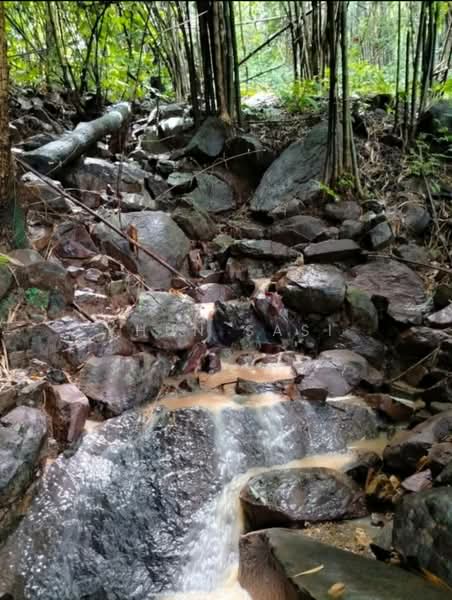 ขายที่ดินหล่มเก่า ทะเลหมอก เพชรบูรณ์ พร้อมบ้าน 31-2-57 ไร่, Phetchabun, Lom Sak, Lom Sak, Phetchabun, 1 Bedroom, 900 sqm, Single Detached House For Sale, by Khun Sasi, 500215513 - DDproperty.com