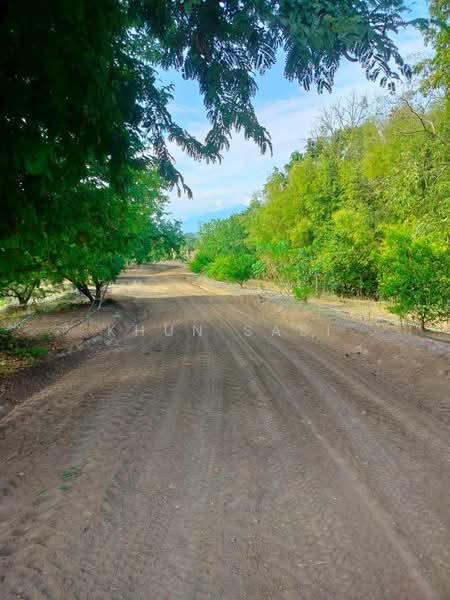 ขายที่ดินหล่มเก่า ทะเลหมอก เพชรบูรณ์ พร้อมบ้าน 31-2-57 ไร่, Phetchabun, Lom Sak, Lom Sak, Phetchabun, 1 Bedroom, 900 sqm, Single Detached House For Sale, by Khun Sasi, 500215513 - DDproperty.com