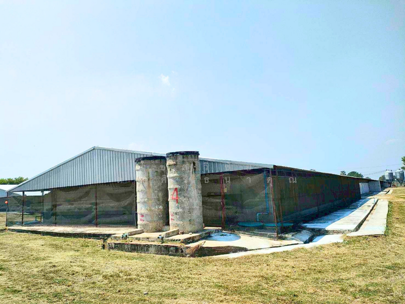 ขายด่วน! กิจการฟาร์มไก่มาตรฐานครบวงจรพร้อมที่ดินกว่า 91 ไร่ จ.สระบุรี, สระบุรี, วังม่วง, วังม่วง, สระบุรี, 146,000 ตร.ม., กิจการ ขาย, โดย โชควิชัย กิตติ์ศิริธนาคุณ, 500215524 - DDproperty.com