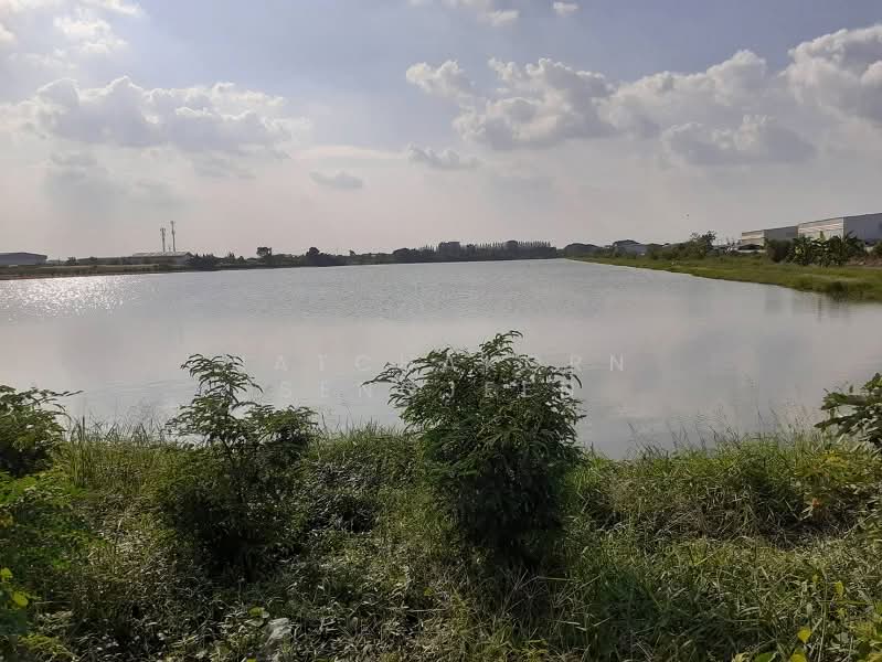 Land for sale, 63 rai, 230 sq wah, Bang Phli Yai, Bang Phli, Samut Prakan., Samut Prakan, เทพารักษ์, Bangphli Yai, Bang Plee, Samut Prakan, , 101,720 sqm, Land For Sale, by Natchakorn Sengjeen, 500215623 - DDproperty.com