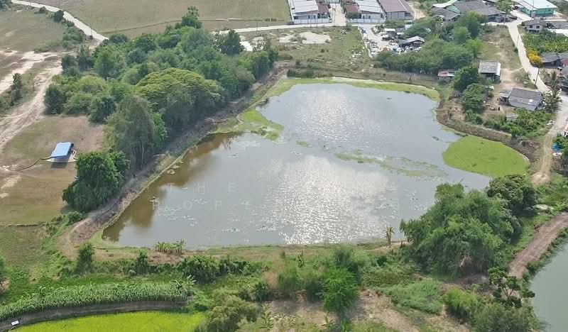 For Sale - ที่ดินพนัสนิคม ชลบุรี, Chon Buri (Pattaya)