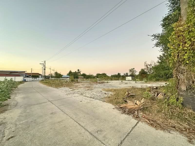 For Sale - ที่ดินพนัสนิคม ชลบุรี, Chon Buri (Pattaya)