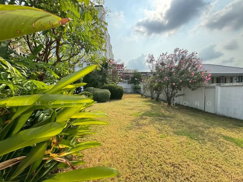 House, Bangkok, Khlong Tan Nua, Watthana, Bangkok, 3 Bedrooms, 350 sqm, Single Detached House For Rent, by Amornrat On-Thong, 500215793 - DDproperty.com