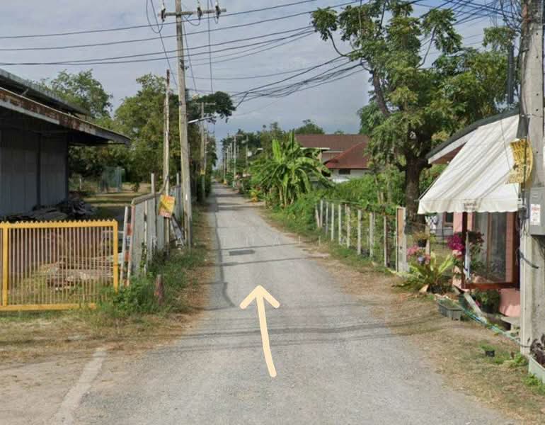 ขาย - ขายที่ดิน คลอง 11 ธัญบุรี 200 ตร.ว. ผังเมืองสีชมพู ใกล้ ถนนรังสิต-นครนายก, ปทุมธานี