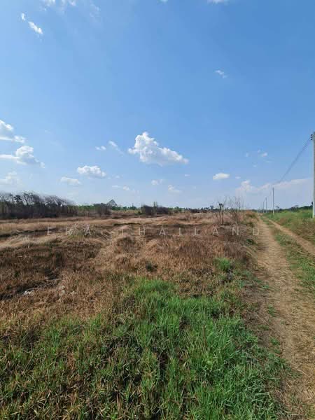 ขายที่ดิน คลอง 11 ธัญบุรี 200 ตร.ว. ผังเมืองสีชมพู ใกล้ ถนนรังสิต-นครนายก, Pathum Thani, Bung Nam Rak, Thanyaburi, Pathum Thani, , 800 sqm, Land For Sale, by ERA Thailand, 500215972 - DDproperty.com