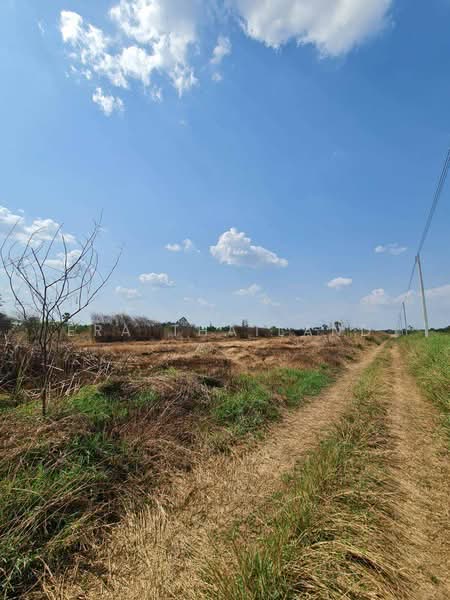 ขายที่ดิน คลอง 11 ธัญบุรี 200 ตร.ว. ผังเมืองสีชมพู ใกล้ ถนนรังสิต-นครนายก, Pathum Thani, Bung Nam Rak, Thanyaburi, Pathum Thani, , 800 sqm, Land For Sale, by ERA Thailand, 500215972 - DDproperty.com