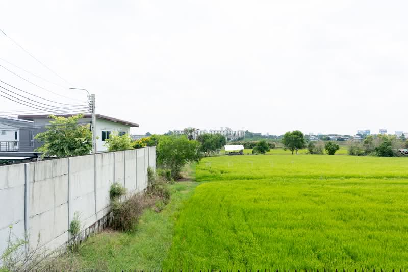 Prueklada Ratchaphruek 345, Nonthaburi, Nonthaburi Bridge Bang Bua Thong, Lahan, Bang Bua Thong, Nonthaburi, 4 Bedrooms, 153 sqm, Single Detached House For Sale, by Roongrat Maitreejittawon, 500216054 - DDproperty.com