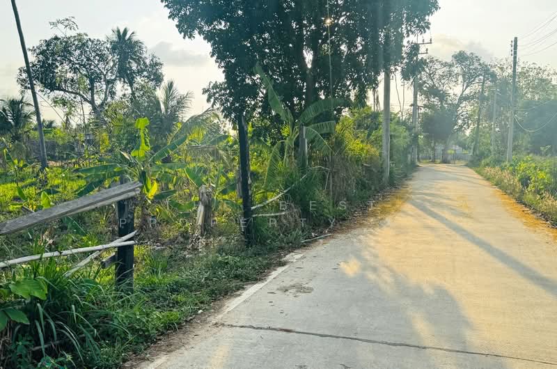 ที่ดินบางละมุง ชลบุรี, ชลบุรี, ห้วยใหญ่, บางละมุง, ชลบุรี, 380 ตร.ม., ที่ดิน ขาย, โดย The Best Property ดา, 500216086 - DDproperty.com