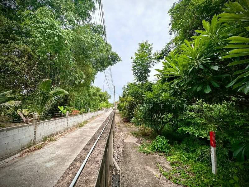 ที่ดินไร่กล้วย-นาพร้าว ใกล้โลตัสศรีราชา, Chon Buri (Pattaya), ไร่กล้วย, Surasak, Si Racha, Chon Buri (Pattaya), , 600 sqm, Land For Sale, by A.T.A. Property, 500216099 - DDproperty.com