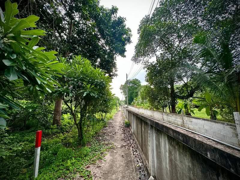 ที่ดินไร่กล้วย-นาพร้าว ใกล้โลตัสศรีราชา, Chon Buri (Pattaya), ไร่กล้วย, Surasak, Si Racha, Chon Buri (Pattaya), , 600 sqm, Land For Sale, by A.T.A. Property, 500216099 - DDproperty.com