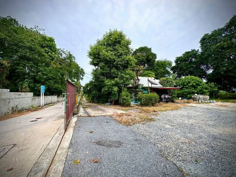 ที่ดินไร่กล้วย-นาพร้าว ใกล้โลตัสศรีราชา, ชลบุรี, ไร่กล้วย, สุรศักดิ์, ศรีราชา, ชลบุรี, 600 ตร.ม., ที่ดิน ขาย, โดย A.T.A. Property, 500216099 - DDproperty.com