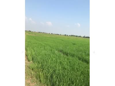 ขาย - ที่ดินปากกราน พระนครศรีอยุธยา, พระนครศรีอยุธยา