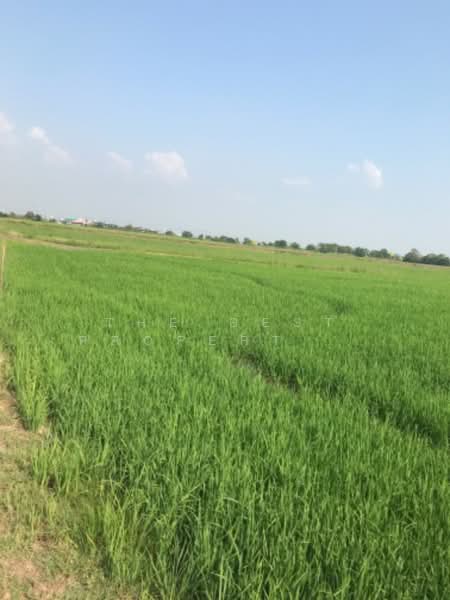 ขาย - ที่ดินปากกราน พระนครศรีอยุธยา, พระนครศรีอยุธยา