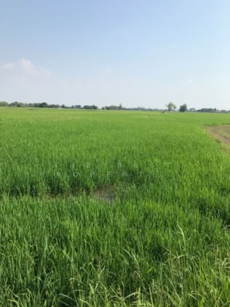 ขาย - ที่ดินปากกราน พระนครศรีอยุธยา, พระนครศรีอยุธยา