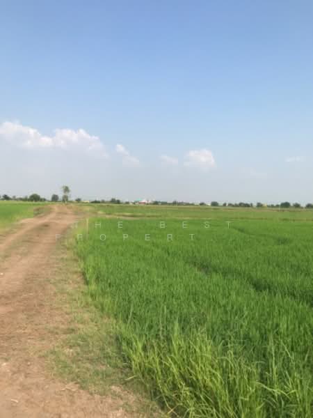 ขาย - ที่ดินปากกราน พระนครศรีอยุธยา, พระนครศรีอยุธยา