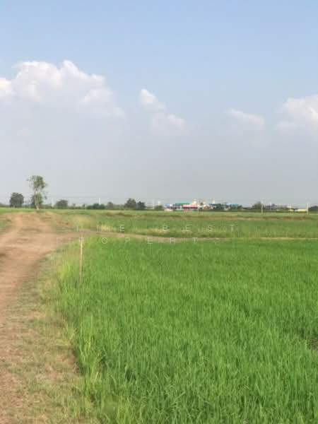 ขาย - ที่ดินปากกราน พระนครศรีอยุธยา, พระนครศรีอยุธยา