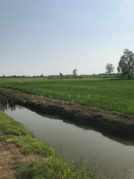 ขาย - ที่ดินปากกราน พระนครศรีอยุธยา, พระนครศรีอยุธยา