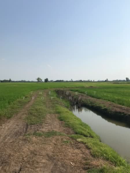 ที่ดินปากกราน พระนครศรีอยุธยา, Phra Nakhon Si Ayutthaya, Pak Kran, Phra Nakhon Sri Ayutthaya, Phra Nakhon Si Ayutthaya, , 26,816 sqm, Land For Sale, by The Best Property ออฟ, 500216125 - DDproperty.com