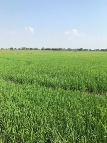 ที่ดินปากกราน พระนครศรีอยุธยา, Phra Nakhon Si Ayutthaya, Pak Kran, Phra Nakhon Sri Ayutthaya, Phra Nakhon Si Ayutthaya, , 26,816 sqm, Land For Sale, by The Best Property ออฟ, 500216125 - DDproperty.com