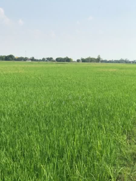 ที่ดินปากกราน พระนครศรีอยุธยา, Phra Nakhon Si Ayutthaya, Pak Kran, Phra Nakhon Sri Ayutthaya, Phra Nakhon Si Ayutthaya, , 26,816 sqm, Land For Sale, by The Best Property ออฟ, 500216125 - DDproperty.com