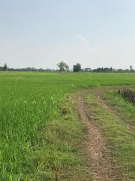 ที่ดินปากกราน พระนครศรีอยุธยา, Phra Nakhon Si Ayutthaya, Pak Kran, Phra Nakhon Sri Ayutthaya, Phra Nakhon Si Ayutthaya, , 26,816 sqm, Land For Sale, by The Best Property ออฟ, 500216125 - DDproperty.com