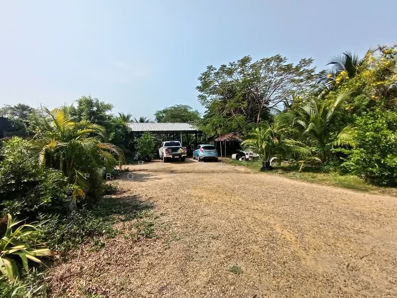 ที่ดินบางแพ ราชบุรี, Ratchaburi, Bang Phae, Bang Phae, Ratchaburi, , 1,648 sqm, Land For Sale, by The Best Property พร, 500216164 - DDproperty.com