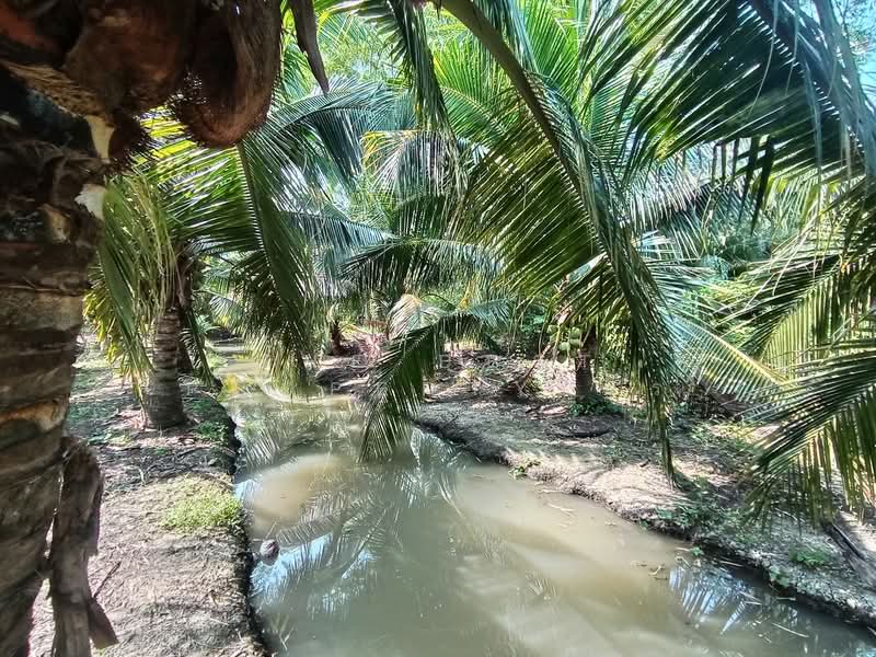 ที่ดินบางแพ ราชบุรี, Ratchaburi, Bang Phae, Bang Phae, Ratchaburi, , 1,648 sqm, Land For Sale, by The Best Property พร, 500216164 - DDproperty.com