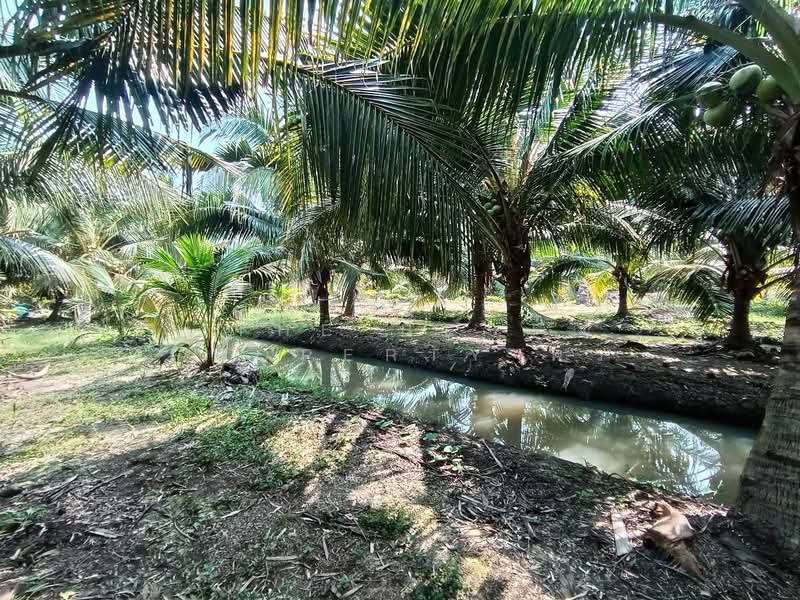 ที่ดินบางแพ ราชบุรี, Ratchaburi, Bang Phae, Bang Phae, Ratchaburi, , 1,648 sqm, Land For Sale, by The Best Property พร, 500216164 - DDproperty.com