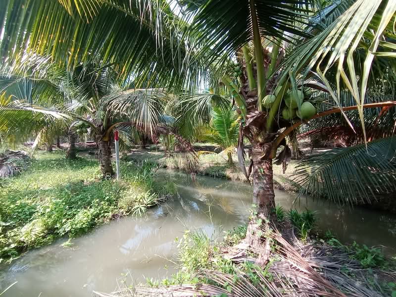 ที่ดินบางแพ ราชบุรี, Ratchaburi, Bang Phae, Bang Phae, Ratchaburi, , 1,648 sqm, Land For Sale, by The Best Property พร, 500216164 - DDproperty.com