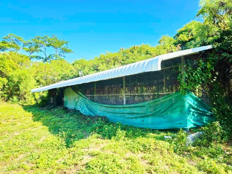 ไม่พบโครงการ, Chon Buri (Pattaya), สุขุมวิท รร.สัตหีบ 1.3 กม., Phlu Ta Loung, Sattahip, Chon Buri (Pattaya), , 225,640 sqm, Land For Rent, by ณัฐพงศ์ สุนทรอรุณ, 500216212 - DDproperty.com