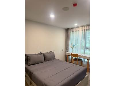 For Rent - Kave Seed Kaset, Bangkok