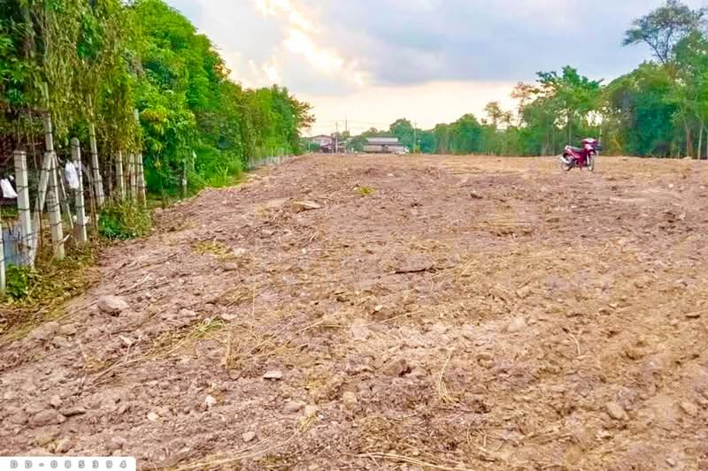 Land for sale in Ban Na, Nakhon Nayok, 4 rai 257 sq.w., DD-085394, Nakhon Nayok, Pa Kha, Ban Na, Nakhon Nayok, , 7,428 sqm, Land For Sale, by Benchawarin Pakkawetppisit, 500216358 - DDproperty.com