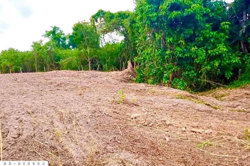 Land for sale in Ban Na, Nakhon Nayok, 4 rai 257 sq.w., DD-085394, Nakhon Nayok, Pa Kha, Ban Na, Nakhon Nayok, , 7,428 sqm, Land For Sale, by Benchawarin Pakkawetppisit, 500216358 - DDproperty.com
