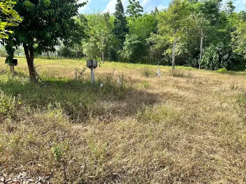 ขายที่เปล่า หน้ากว้างติดถนนสายเอเชีย 63 เมตร อ.ชะอวด จ.นครศรีธรรมราช, นครศรีธรรมราช, ควนหนองหงษ์, ชะอวด, นครศรีธรรมราช, 6,400 ตร.ม., ที่ดิน ขาย, โดย ERA Thailand, 500216392 - DDproperty.com