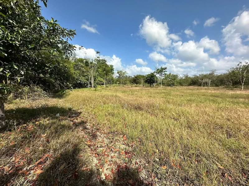 ขายที่เปล่า หน้ากว้างติดถนนสายเอเชีย 63 เมตร อ.ชะอวด จ.นครศรีธรรมราช, นครศรีธรรมราช, ควนหนองหงษ์, ชะอวด, นครศรีธรรมราช, 6,400 ตร.ม., ที่ดิน ขาย, โดย ERA Thailand, 500216392 - DDproperty.com