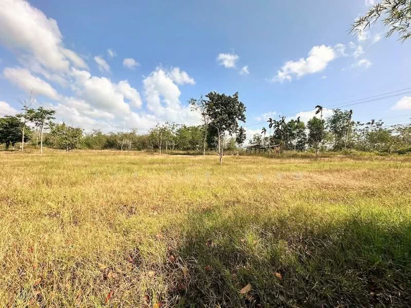 ขายที่เปล่า หน้ากว้างติดถนนสายเอเชีย 63 เมตร อ.ชะอวด จ.นครศรีธรรมราช, นครศรีธรรมราช, ควนหนองหงษ์, ชะอวด, นครศรีธรรมราช, 6,400 ตร.ม., ที่ดิน ขาย, โดย ERA Thailand, 500216392 - DDproperty.com