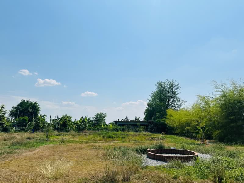 ขาย - เลาขวัญ, กาญจนบุรี