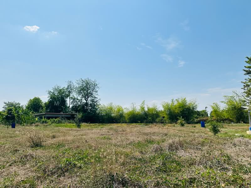 เลาขวัญ, Kanchanaburi, Nong Sano, Lao Khwan, Kanchanaburi, , 2,360 sqm, Land For Sale, by HOMEPLUS REALTY - คุณหน่อย, 500216410 - DDproperty.com