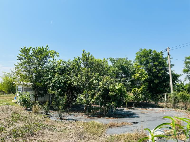 ขาย - เลาขวัญ, กาญจนบุรี