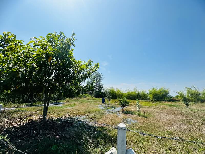 เลาขวัญ, Kanchanaburi, Nong Sano, Lao Khwan, Kanchanaburi, , 2,360 sqm, Land For Sale, by HOMEPLUS REALTY - คุณหน่อย, 500216410 - DDproperty.com