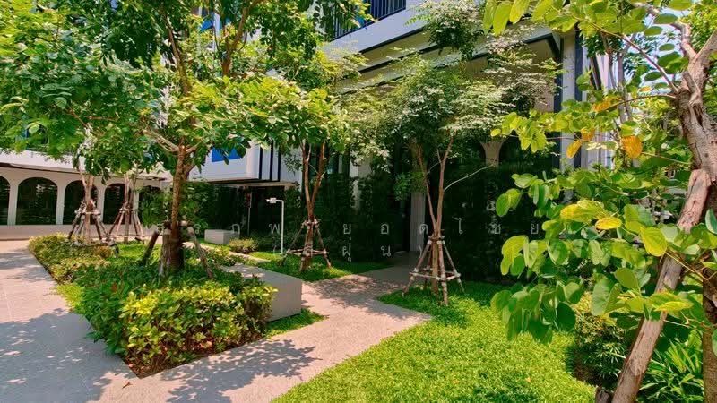 Plum Condo Chaengwattana-Donmueang, Bangkok, Kamphaeng Phet 6 Soi 5 Yaek 2, Thung Song Hong, Lak Si, Bangkok, 1 Bedroom, 26 sqm, Condo For Rent, by สรภพ ยอดไชย (สีฝุ่น), 500216447 - DDproperty.com