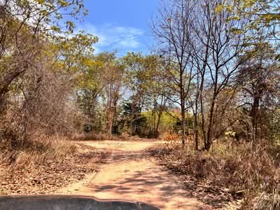 ขาย - ที่ดินชะอำ เพชรบุรี, เพชรบุรี