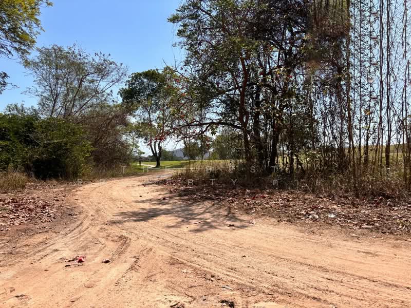 ที่ดินชะอำ เพชรบุรี, Phetchaburi, Sam Phraya, Cha-Am, Phetchaburi, , 3,276 sqm, Land For Sale, by The Best Property ต่าย, 500216456 - DDproperty.com