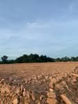 ที่ดินบ้านค่าย ระยอง, ระยอง