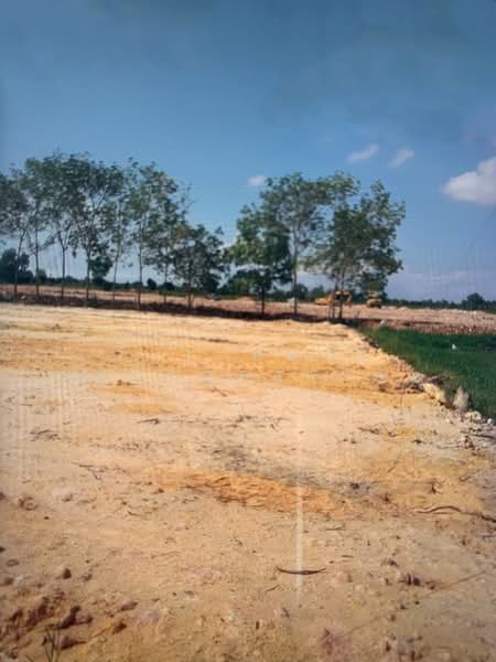 ขาย - ที่ดินบ้านค่าย ระยอง, ระยอง