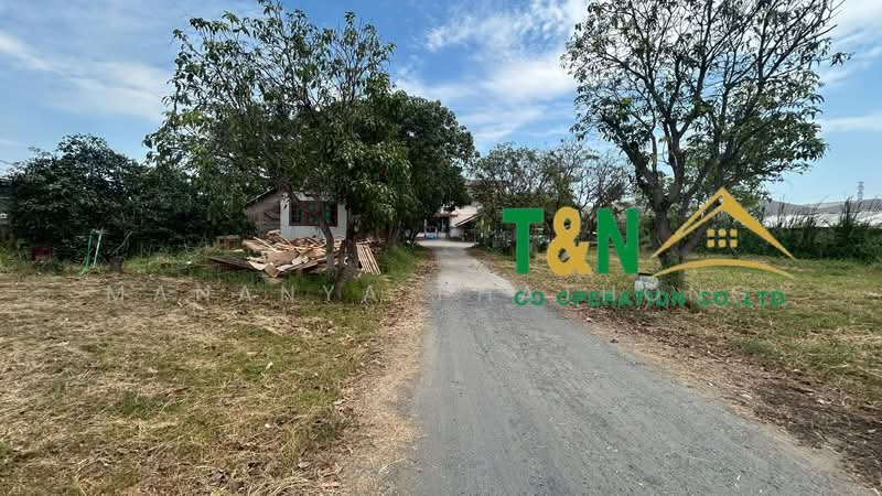 ที่ดินเปล่า พร้อมสิ่งปลูกสร้าง 1-3-64.6 ไร่ ซอยหนามแดง - บางพลี 15, Samut Prakan, Bang Kaeo, Bang Plee, Samut Prakan, , 3,056 sqm, Land For Sale, by MANANYA PHATHONG, 500216545 - DDproperty.com