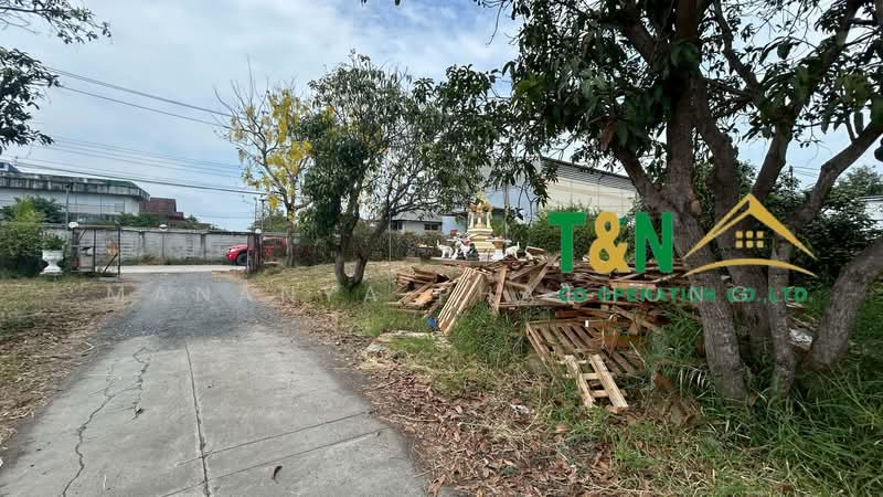 ที่ดินเปล่า พร้อมสิ่งปลูกสร้าง 1-3-64.6 ไร่ ซอยหนามแดง - บางพลี 15, Samut Prakan, Bang Kaeo, Bang Plee, Samut Prakan, , 3,056 sqm, Land For Sale, by MANANYA PHATHONG, 500216545 - DDproperty.com