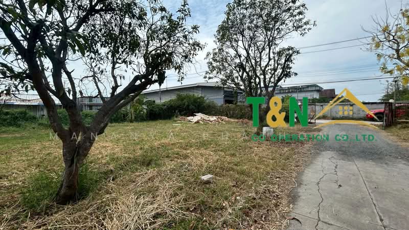 ที่ดินเปล่า พร้อมสิ่งปลูกสร้าง 1-3-64.6 ไร่ ซอยหนามแดง - บางพลี 15, Samut Prakan, Bang Kaeo, Bang Plee, Samut Prakan, , 3,056 sqm, Land For Sale, by MANANYA PHATHONG, 500216545 - DDproperty.com