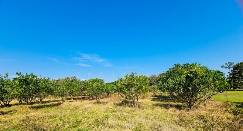 ที่ดิน, Lampang, Mae Pu, Mae Phrik, Lampang, , 8,960 sqm, Land For Sale, by Chayanat Wongphudphad, 500216607 - DDproperty.com