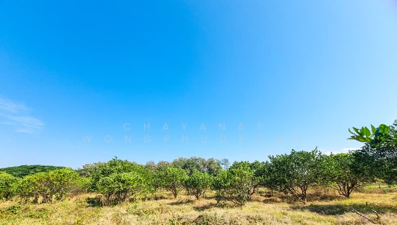 ที่ดิน, Lampang, Mae Pu, Mae Phrik, Lampang, , 8,960 sqm, Land For Sale, by Chayanat Wongphudphad, 500216607 - DDproperty.com